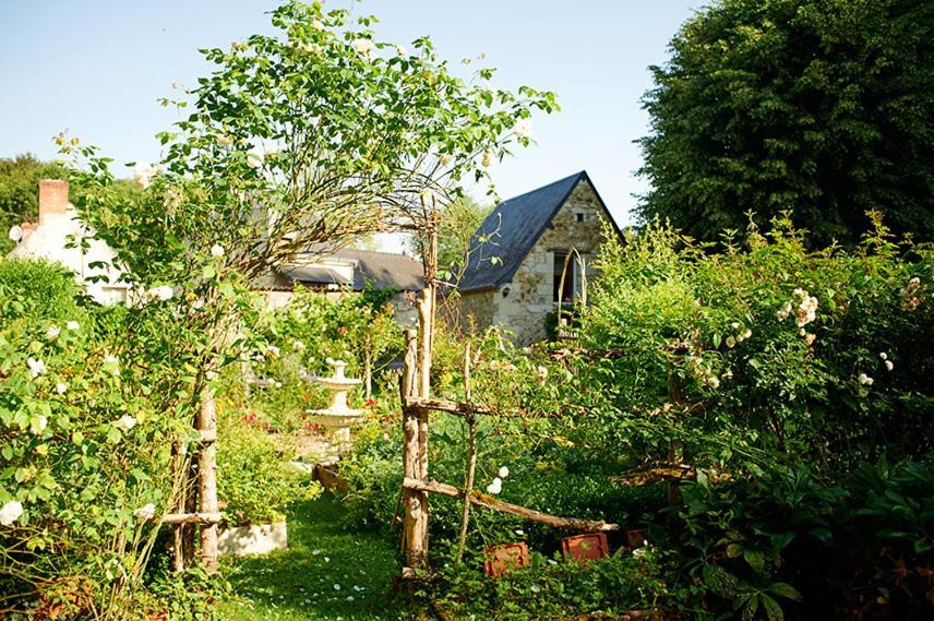 Domaine De La Juranvillerie, Gite Et Chambres D'Hotes Rigny-Ussé Eksteriør bilde