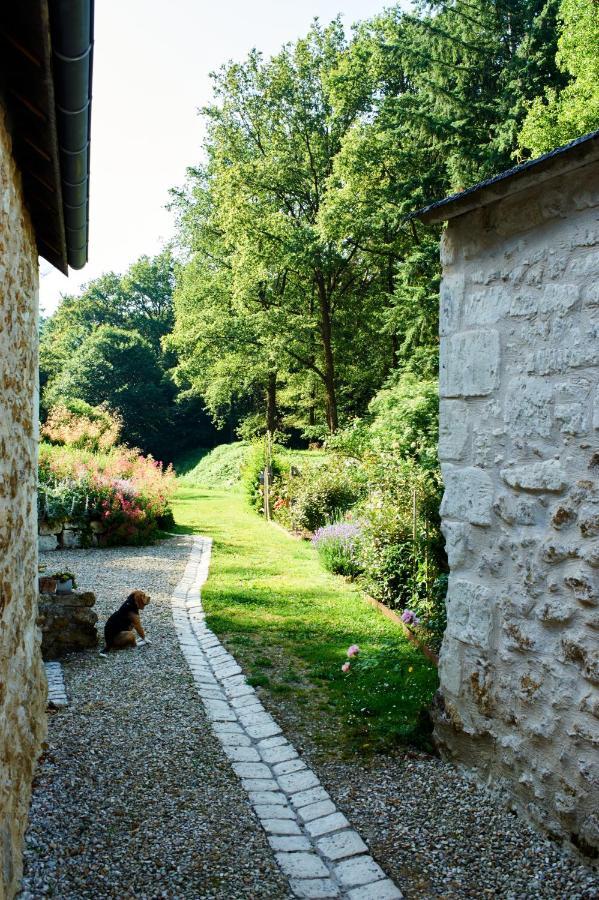 Domaine De La Juranvillerie, Gite Et Chambres D'Hotes Rigny-Ussé Eksteriør bilde
